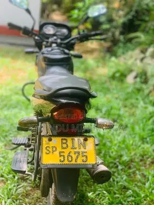 Bajaj Platina 100 2020