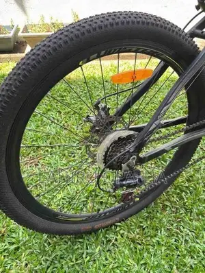 Lumstar Bicycle