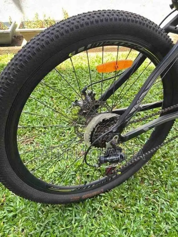 Lumstar Bicycle