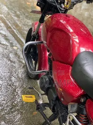 TVS Victor 2009