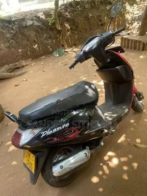 Hero Pleasure 2009