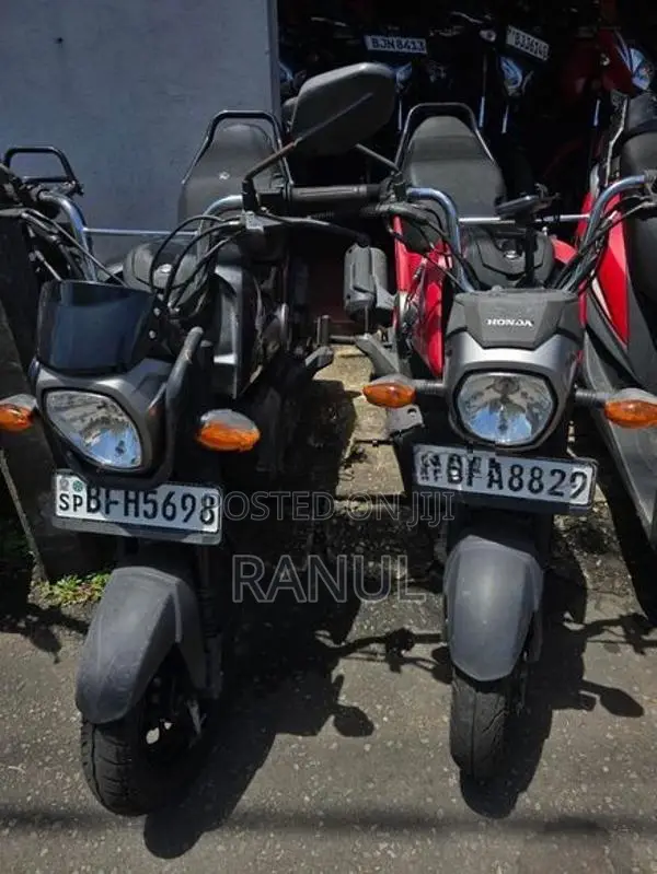 Honda Navi 2017