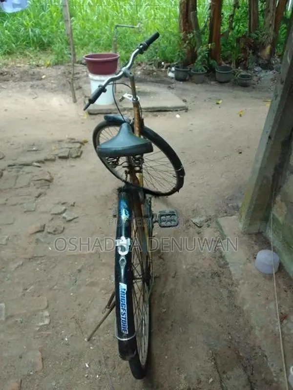 Lady Bicycle