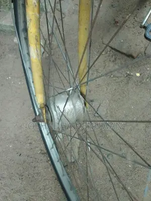 Lady Bicycle