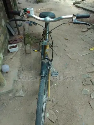 Lady Bicycle