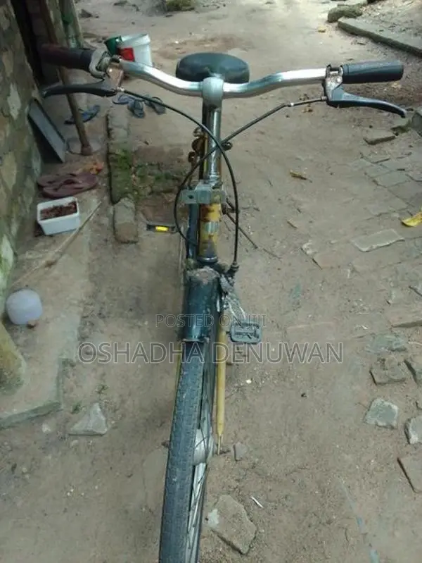 Lady Bicycle