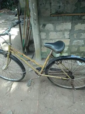 Lady Bicycle