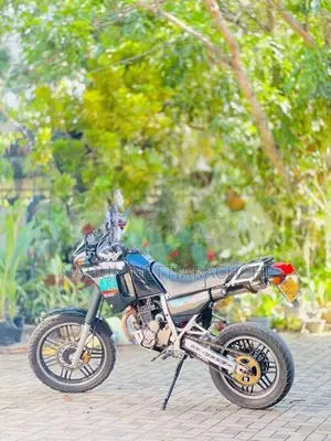 Honda AX1 2010