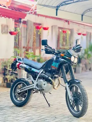 Honda AX1 2010