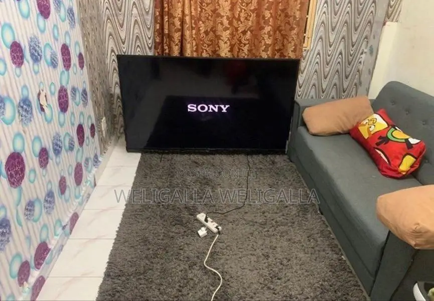 Sony 4k Bravia Smart TV 65"