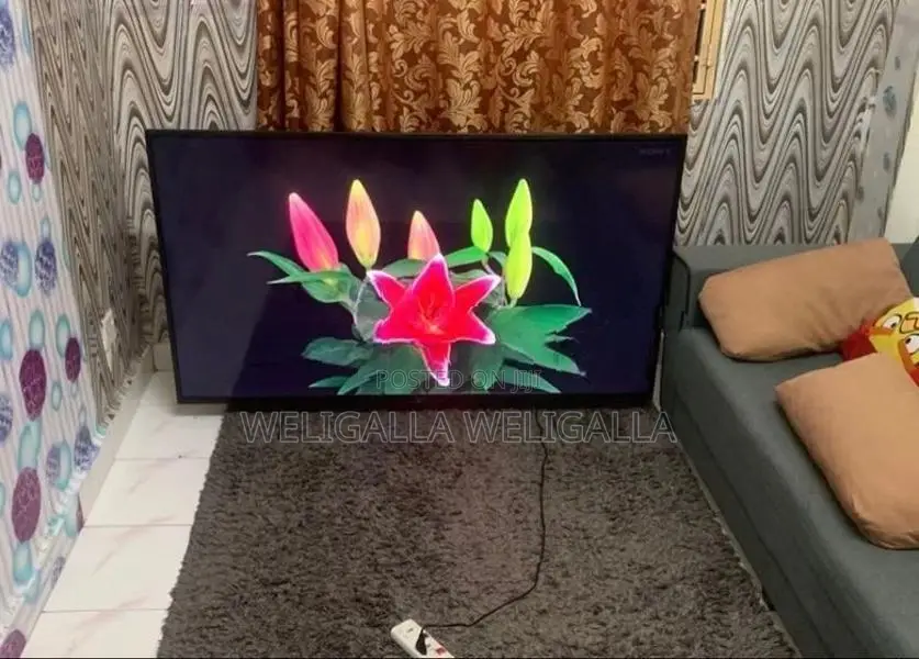 Sony 4k Bravia Smart TV 65"