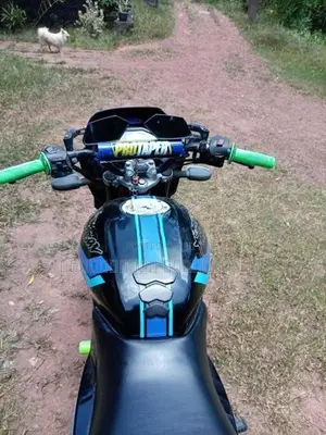 Bajaj Pulsar 150 2007