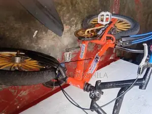 Lumala Bicycle