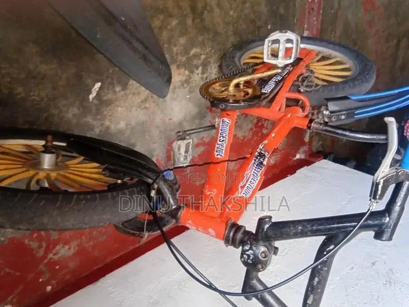 Lumala Bicycle