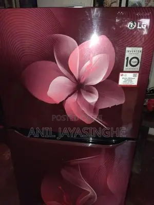 LG Used Refrigerator