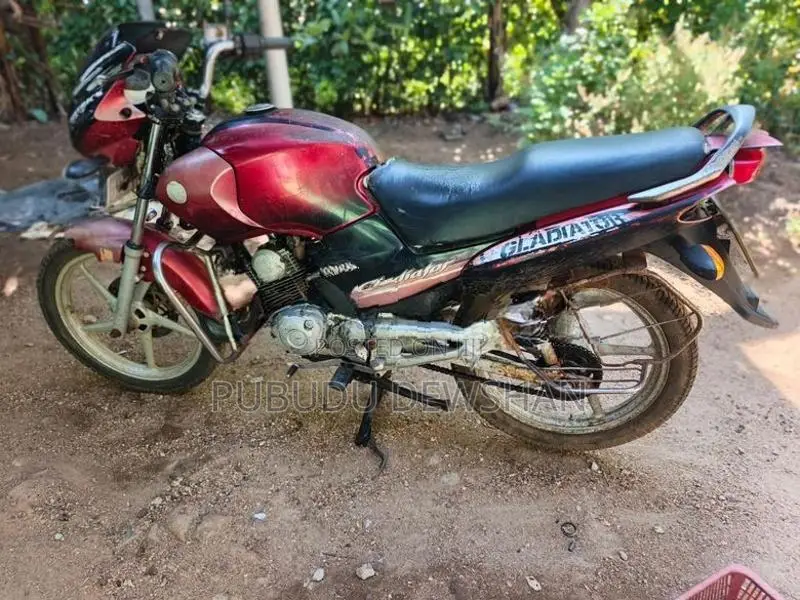 Yamaha Gladiator 2008