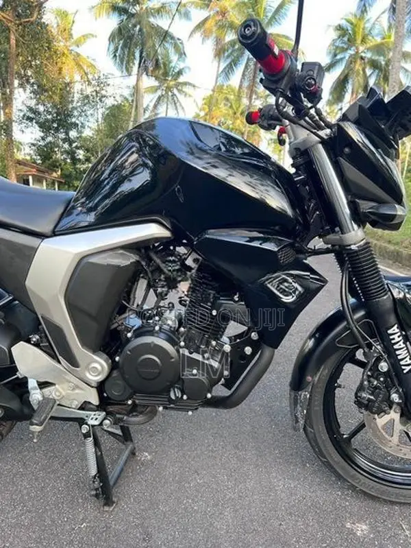 Yamaha FZs V2 2019