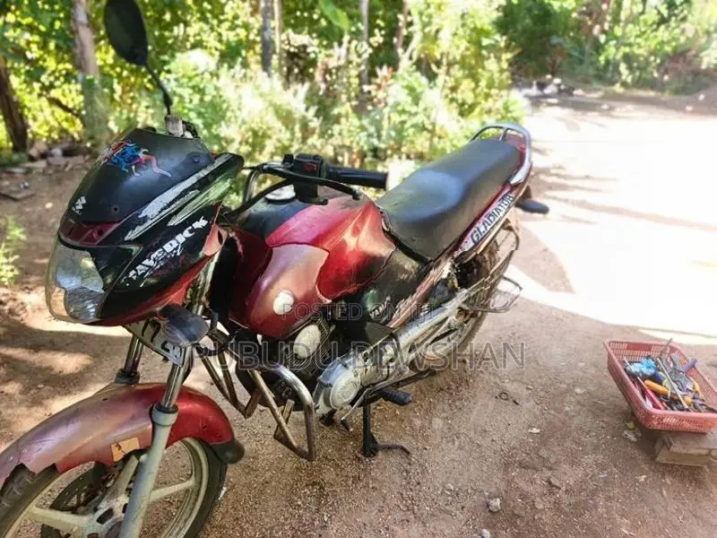 Yamaha Gladiator 2008