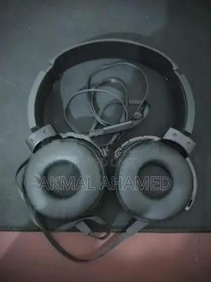 Headphones Used