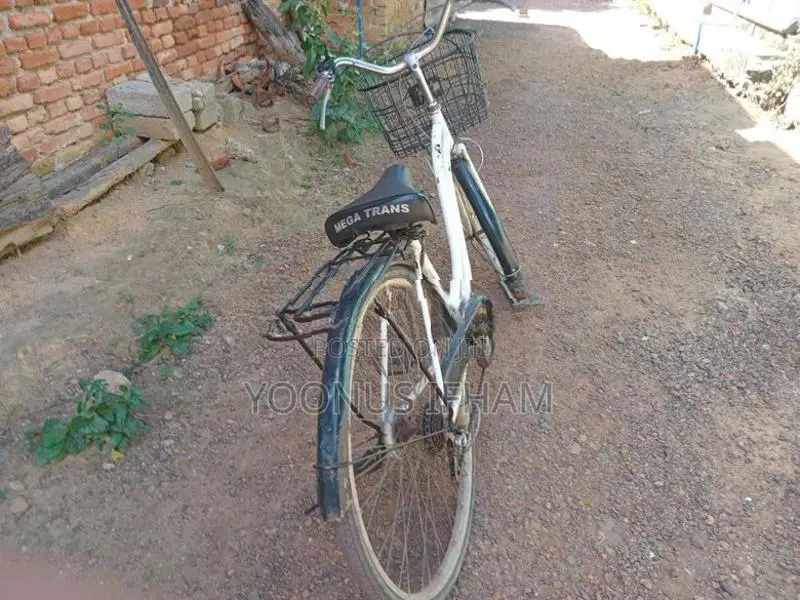 DSI Bike