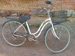 DSI Bike