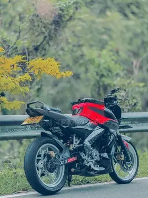 Bajaj Pulsar NS200 Bs4 2018
