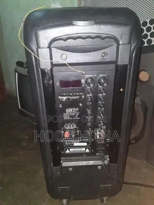 Bonn Blutooth Karoke Buffel