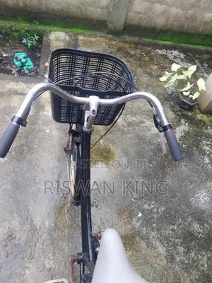 Ladies Bicycle