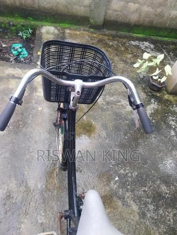 Ladies Bicycle