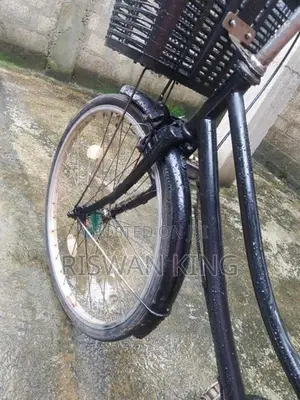 Ladies Bicycle