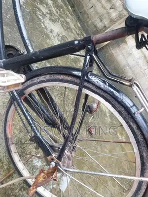 Ladies Bicycle