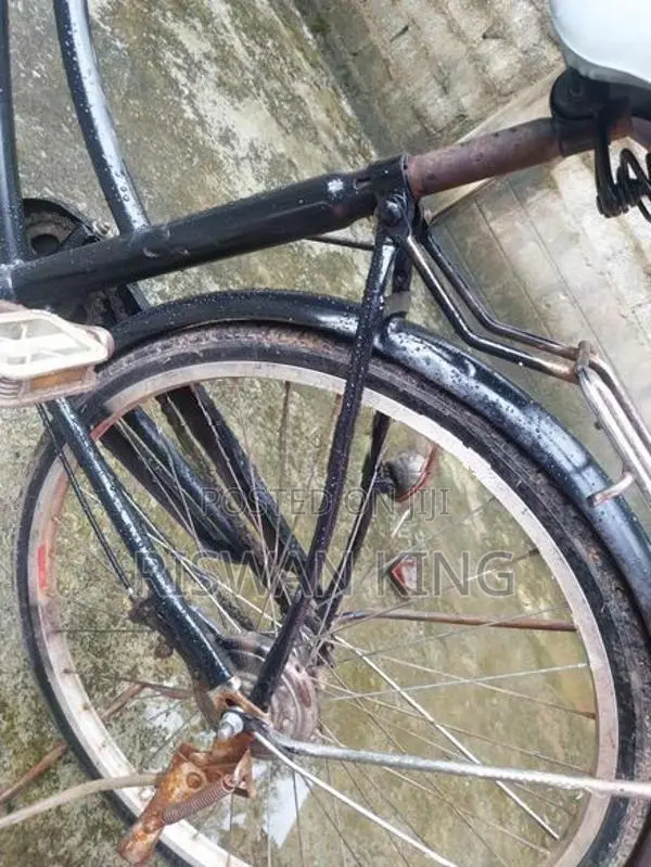Ladies Bicycle