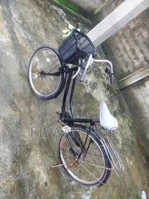 Ladies Bicycle