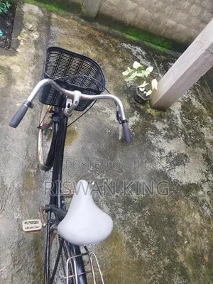 Ladies Bicycle