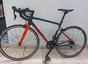 Specialized Road Bike