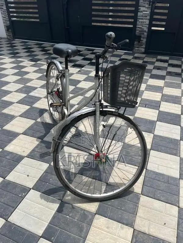 Lumstar Bicycle