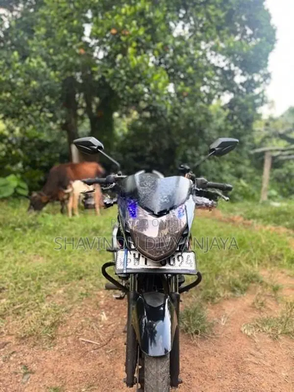 Bajaj Pulsar 135 2011