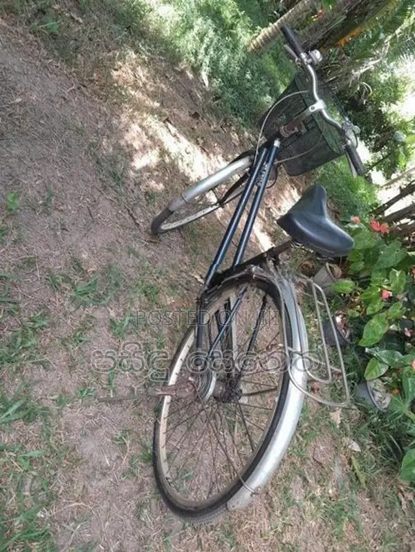 Bicycle