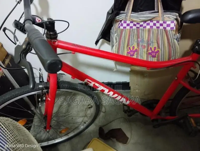 Lumala Bicycle