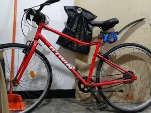 Lumala Bicycle