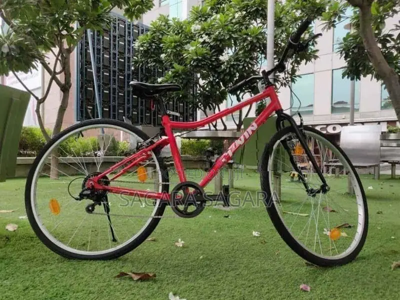 Lumala Bicycle