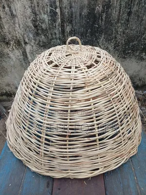 Roster Cattle Cage