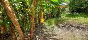 Land for Sale Boralesgamuwa