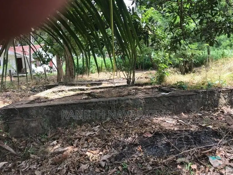 Land for Sale in Kuliyapitiya