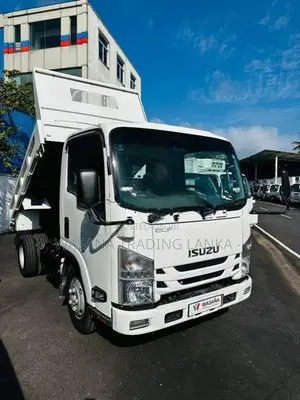 Isuzu Elf Dump truck Tipper 2019