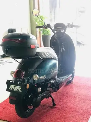 E Bike XGW 2026
