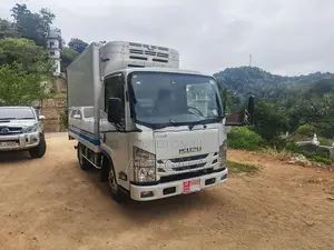 Isuzu Elf 2015
