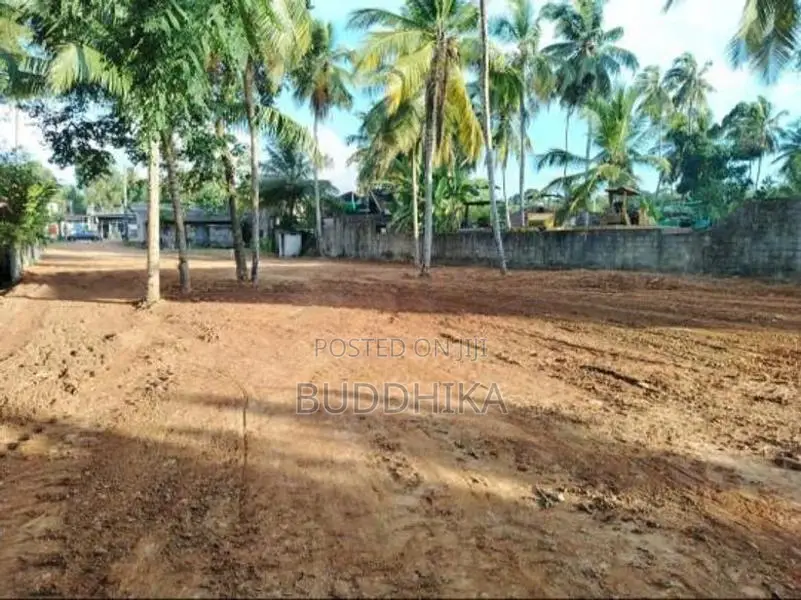 Land for Sale in Nittabuwa
