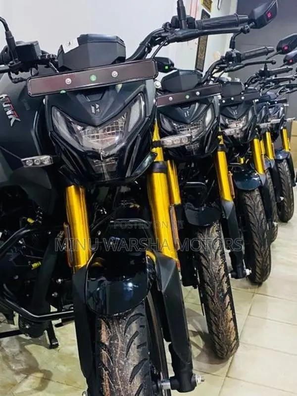 Hero Hunk 160R Brand New 2026