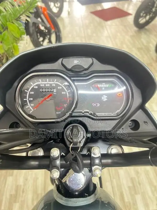 Bajaj Platina 100 Efi 2026